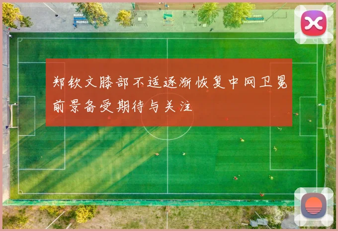 郑钦文膝部不适逐渐恢复中网卫冕前景备受期待与关注